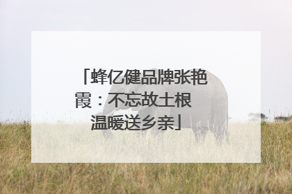 蜂亿健品牌张艳霞：不忘故土根 温暖送乡亲