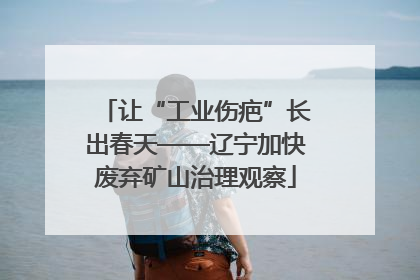 让“工业伤疤”长出春天——辽宁加快废弃矿山治理观察