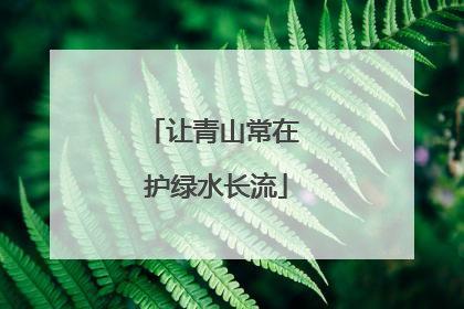 让青山常在 护绿水长流