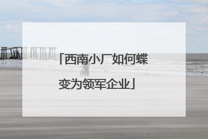 西南小厂如何蝶变为领军企业