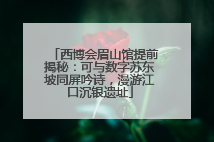 西博会眉山馆提前揭秘：可与数字苏东坡同屏吟诗，漫游江口沉银遗址