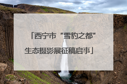 西宁市“雪豹之都”生态摄影展征稿启事