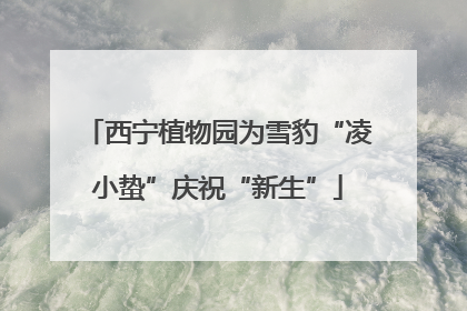 西宁植物园为雪豹“凌小蛰”庆祝“新生”