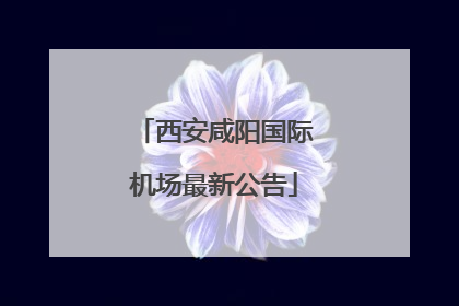 西安咸阳国际机场最新公告