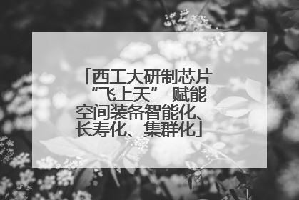 西工大研制芯片“飞上天” 赋能空间装备智能化、长寿化、集群化
