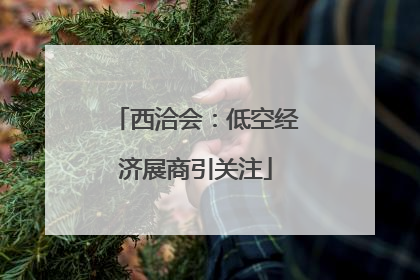 西洽会：低空经济展商引关注