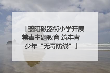 襄阳磁器街小学开展禁毒主题教育 筑牢青少年“无毒防线”