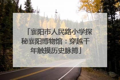襄阳市人民路小学探秘襄阳博物馆：穿越千年触摸历史脉搏