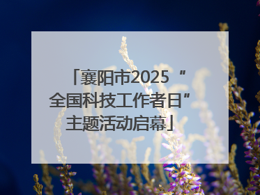 襄阳市2025“全国科技工作者日”主题活动启幕