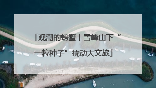 观潮的螃蟹丨雪峰山下“一粒种子”撬动大文旅