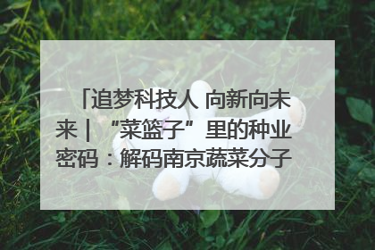 追梦科技人 向新向未来｜“菜篮子”里的种业密码：解码南京蔬菜分子育种的创新之路