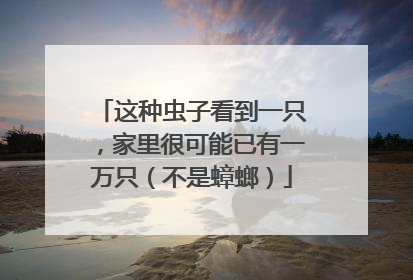 这种虫子看到一只，家里很可能已有一万只（不是蟑螂）