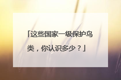 这些国家一级保护鸟类，你认识多少？