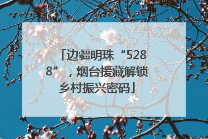 边疆明珠“5288”，烟台援藏解锁乡村振兴密码