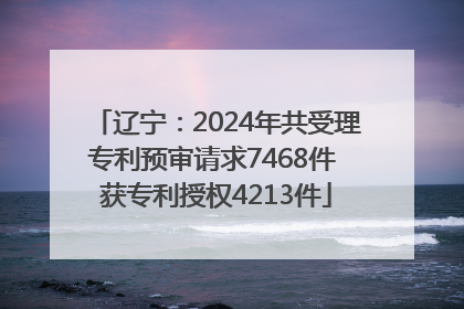辽宁：2024年共受理专利预审请求7468件 获专利授权4213件