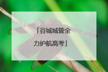 谷城城管全力护航高考
