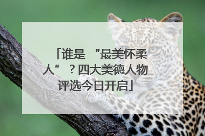 谁是 “最美怀柔人”？四大美德人物评选今日开启