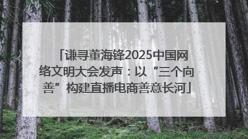 谦寻董海锋2025中国网络文明大会发声：以“三个向善”构建直播电商善意长河