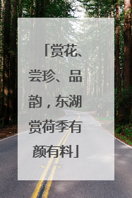 赏花、尝珍、品韵，东湖赏荷季有颜有料