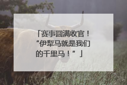 赛事圆满收官！“伊犁马就是我们的千里马！”