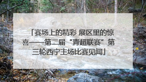 赛场上的精彩 展区里的惊喜——第二届“青超联赛”第三轮西宁主场比赛见闻