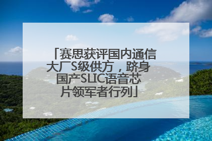 赛思获评国内通信大厂S级供方，跻身国产SLIC语音芯片领军者行列