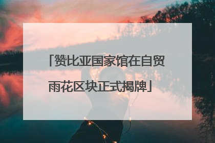 赞比亚国家馆在自贸雨花区块正式揭牌