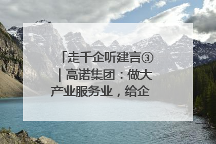 走千企听建言③｜高诺集团：做大产业服务业，给企业更多创新空间