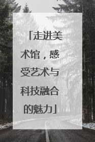 走进美术馆，感受艺术与科技融合的魅力