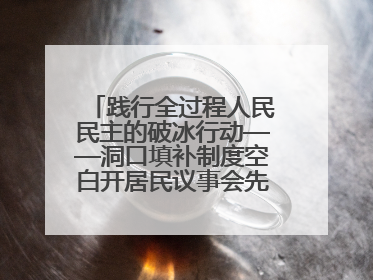 践行全过程人民民主的破冰行动——洞口填补制度空白开居民议事会先河侧记