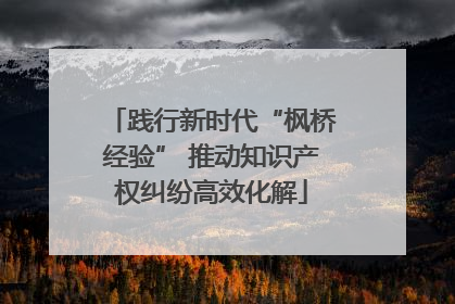践行新时代“枫桥经验” 推动知识产权纠纷高效化解