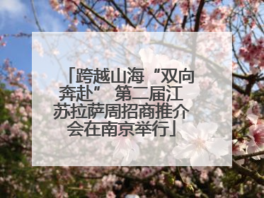 跨越山海“双向奔赴” 第二届江苏拉萨周招商推介会在南京举行