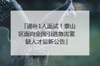 递补1人面试！泰山区面向全国引进急需紧缺人才最新公告