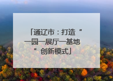 通辽市：打造“一园一展厅一基地”创新模式