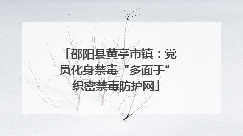邵阳县黄亭市镇：党员化身禁毒“多面手” 织密禁毒防护网