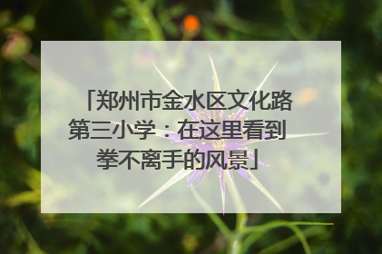 郑州市金水区文化路第三小学：在这里看到拳不离手的风景