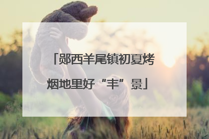 郧西羊尾镇初夏烤烟地里好“丰”景