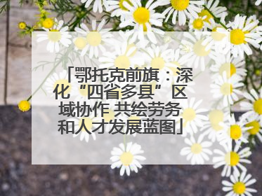 鄂托克前旗：深化“四省多县”区域协作 共绘劳务和人才发展蓝图