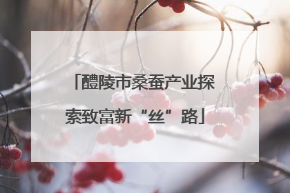 醴陵市桑蚕产业探索致富新“丝”路