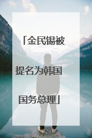金民锡被提名为韩国国务总理