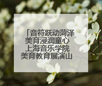 音符跃动菏泽 美育浸润童心 上海音乐学院美育教育展演山东省展演·菏泽站落幕