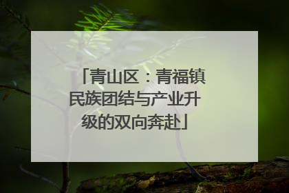 青山区：青福镇民族团结与产业升级的双向奔赴