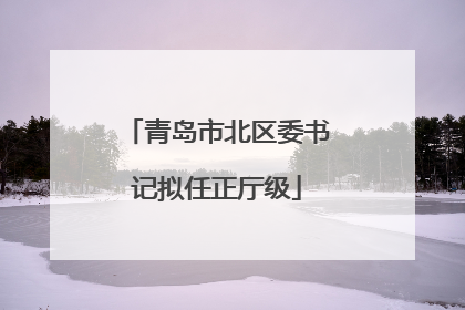 青岛市北区委书记拟任正厅级