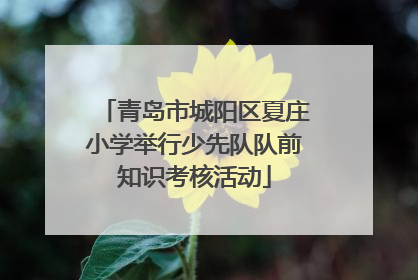青岛市城阳区夏庄小学举行少先队队前知识考核活动