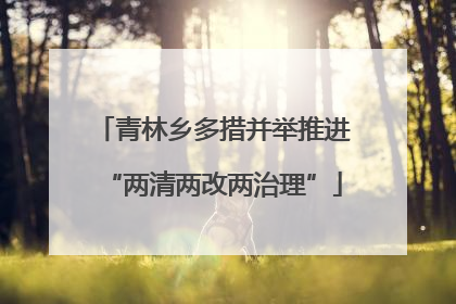 青林乡多措并举推进“两清两改两治理”