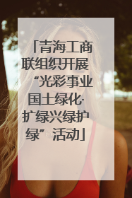 青海工商联组织开展“光彩事业国土绿化·扩绿兴绿护绿”活动