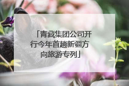 青藏集团公司开行今年首趟新疆方向旅游专列