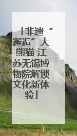非遗“邂逅”大熊猫 江苏无锡博物院解锁文化新体验