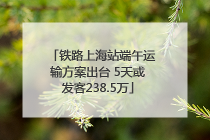 铁路上海站端午运输方案出台 5天或发客238.5万