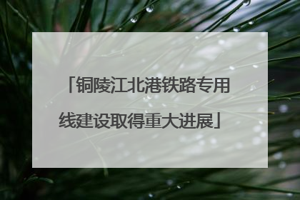 铜陵江北港铁路专用线建设取得重大进展